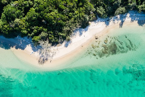 Guided E Bike Tour - Lush Hinterland & Secret Beaches - Tourism Cairns 6