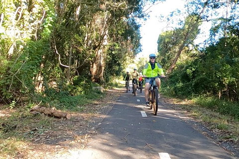 Guided E Bike Tour - Lush Hinterland & Secret Beaches - Tourism Cairns 10