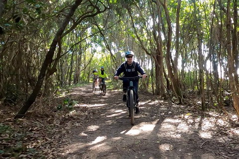 Guided E Bike Tour - Lush Hinterland & Secret Beaches - Tourism Cairns 8