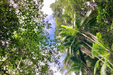 Guided E Bike Tour - Unicorn Falls & National Park - Tourism Cairns 5