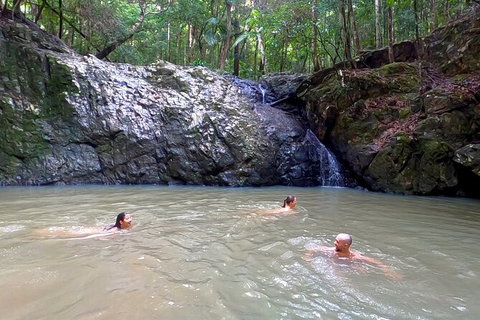 Guided E Bike Tour - Unicorn Falls & National Park - Tourism Cairns 12