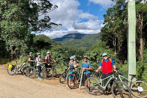 Guided E Bike Tour - Unicorn Falls & National Park - Tourism Cairns 13