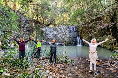 Guided E Bike Tour - Unicorn Falls & National Park - Tourism Cairns 8