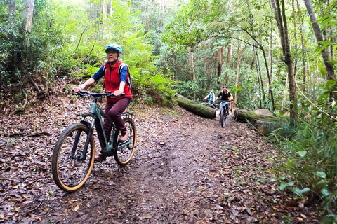 Guided E Bike Tour - Unicorn Falls & National Park - Tourism Cairns 9