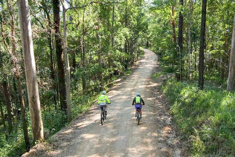 Guided E Bike Tour - Unicorn Falls & National Park - Tourism Cairns 7