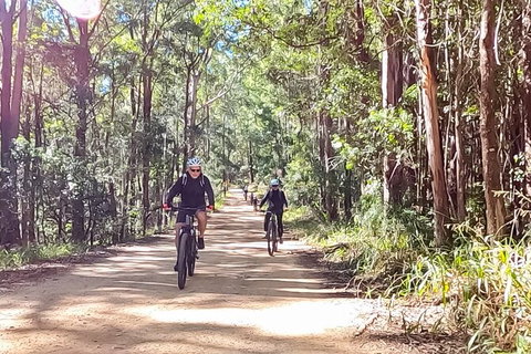 Guided E Bike Tour - Unicorn Falls & National Park - Tourism Cairns 6
