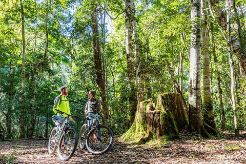 Guided E Bike Tour - Unicorn Falls & National Park - Tourism Cairns 14