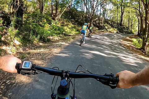 Guided E Bike Tour - Unicorn Falls & National Park - Tourism Cairns 1