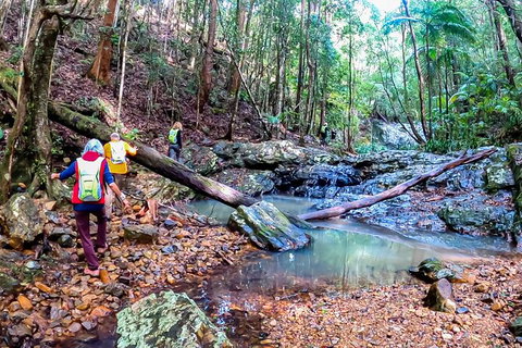 Guided E Bike Tour - Unicorn Falls & National Park - Tourism Cairns 17