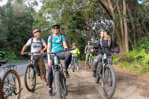 Guided E Bike Tour - Unicorn Falls & National Park - Tourism Cairns 11