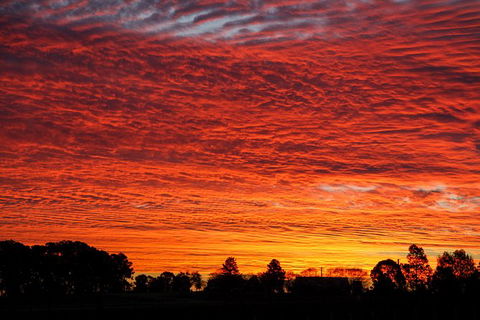 Private Full-Day Wine Tour In Hunter Valley - Tourism Cairns 0