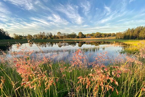 Private Full-Day Wine Tour In Hunter Valley - Tourism Cairns 5
