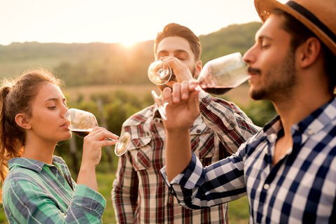 All-inclusive Morning Wine Tour In Orange - Tourism Cairns 0