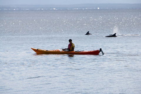 Half-Day Jervis Bay Sea Kayak Tour - Tourism Cairns 4