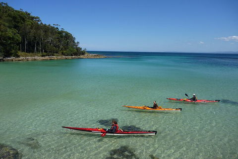 Half-Day Jervis Bay Sea Kayak Tour - Tourism Cairns 3
