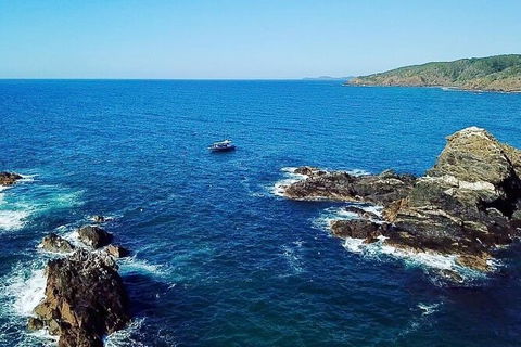 Julian Rocks Byron Bay Cruise - Tourism Cairns 15