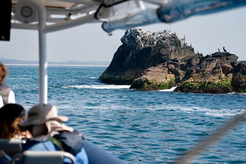 Julian Rocks Byron Bay Cruise - Tourism Cairns 20