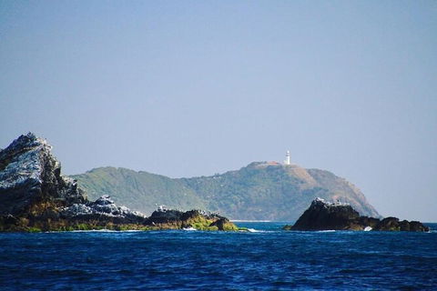 Julian Rocks Byron Bay Cruise - Tourism Cairns 2