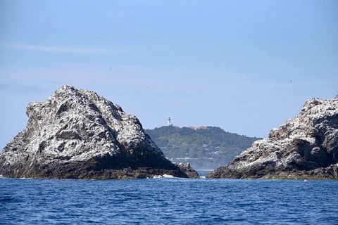 Julian Rocks Byron Bay Cruise - Tourism Cairns 14
