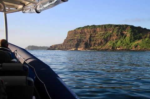 Julian Rocks Byron Bay Cruise - Tourism Cairns 17