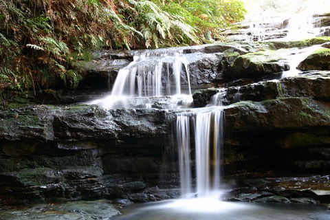Private 10-hour Tour To Blue Mountains From Sydney - Hotel Pick Up & Drop Off - Tourism Cairns 6