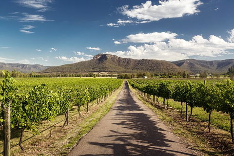 Hunter Valley Highlights Private Wine Tour From Sydney - Tourism Cairns 2