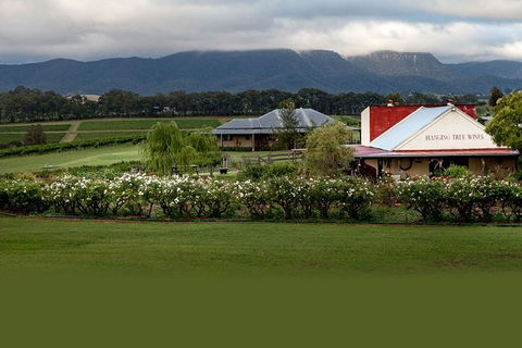 Hunter Valley Highlights Private Wine Tour From Sydney - Tourism Cairns 5