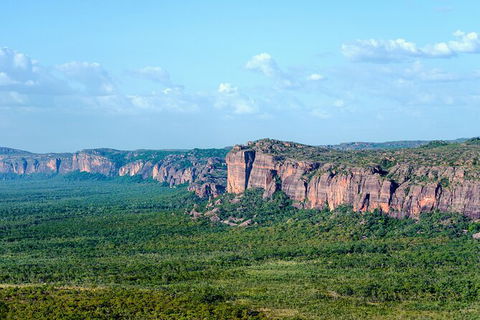 Jabiru 60 Minute Scenic Flight - Tourism Cairns 4