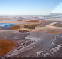 Helicopter Scenic Lizard Safari - Tourism Cairns