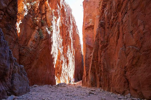 Best Of Alice Springs Full Day Tour - Tourism Cairns 6