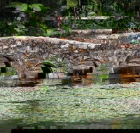 Online Photography Tuition - Tourism Cairns