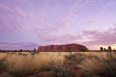 Explore Uluru: 7 Hours Guide Tour At Sunrise With Light Breakfast - Tourism Cairns 4