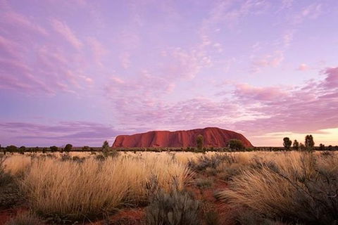 Sunset Australian Barbecue Dinner In Uluru - Tourism Cairns 0