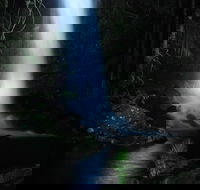 Mt Tamborine National Park 4WD Nocturnal Rainforest and Glow Worm Tour - Tourism Cairns