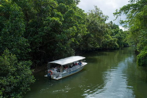 Daintree Rainforest, Cape Tribulation And Bloomfield Track Small Group Tour - Tourism Cairns 5