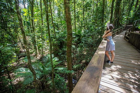 Daintree Rainforest, Cape Tribulation And Bloomfield Track Small Group Tour - Tourism Cairns 3
