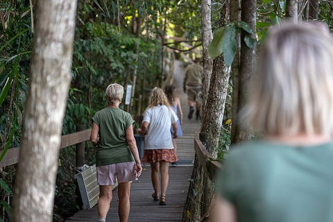 Daintree Rainforest, Cape Tribulation And Bloomfield Track Small Group Tour - Tourism Cairns 15