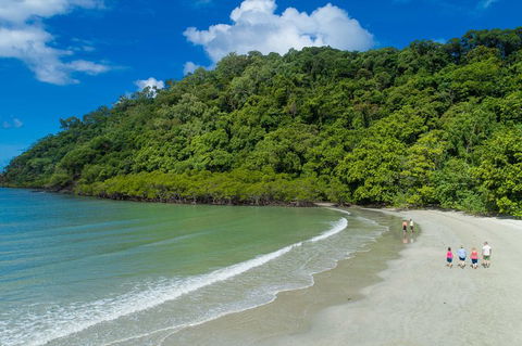 Daintree Rainforest, Cape Tribulation And Bloomfield Track Small Group Tour - Tourism Cairns 2