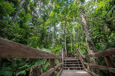 Daintree Rainforest, Cape Tribulation And Bloomfield Track Small Group Tour - Tourism Cairns 13