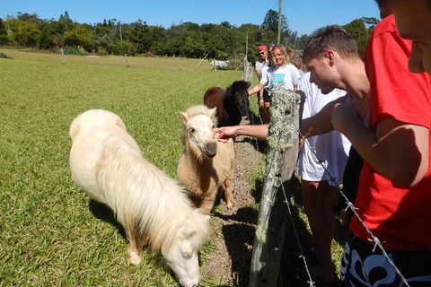 Atherton Tablelands Waterfalls Tour From Cairns - Tourism Cairns 2