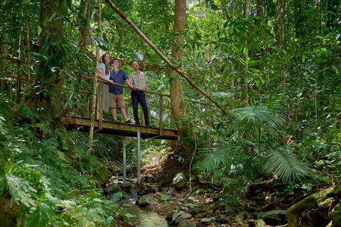 Daintree And Cape Tribulation Tour From Cairns - Tourism Cairns 3