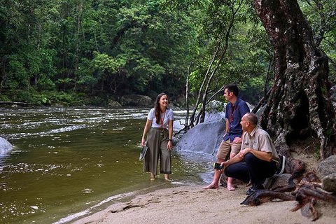 Daintree And Cape Tribulation Tour From Cairns - Tourism Cairns 2