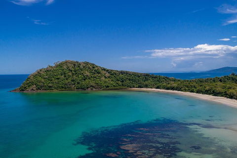 Daintree And Cape Tribulation Tour From Cairns - Tourism Cairns 7
