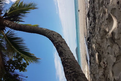 Airport Transfers Between Cairns Airport And Cairns City - Tourism Cairns 4