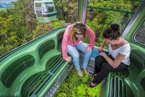 8-Day Cairns Tour: Great Barrier Reef, Kuranda, Daintree Rainforest - Tourism Cairns 1