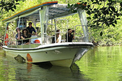 8-Day Cairns Tour: Great Barrier Reef, Kuranda, Daintree Rainforest - Tourism Cairns 3