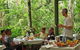 8-Day Cairns Tour: Great Barrier Reef, Kuranda, Daintree Rainforest - thumb 5