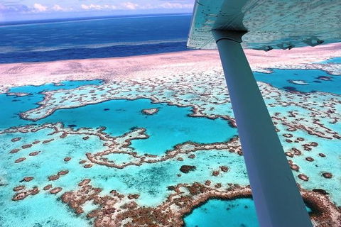 8-Day Cairns Tour: Great Barrier Reef, Kuranda, Daintree Rainforest - Tourism Cairns 0