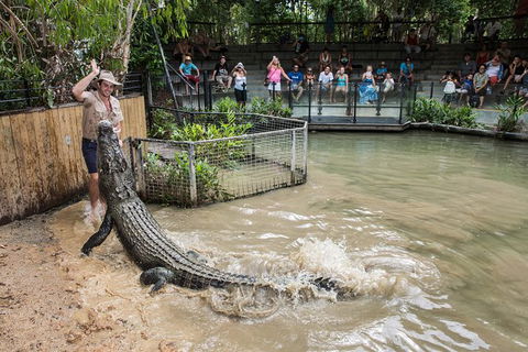 Hartley\'s Crocodile Adventures Entry Ticket And Breakfast With The Koalas - Tourism Cairns 2