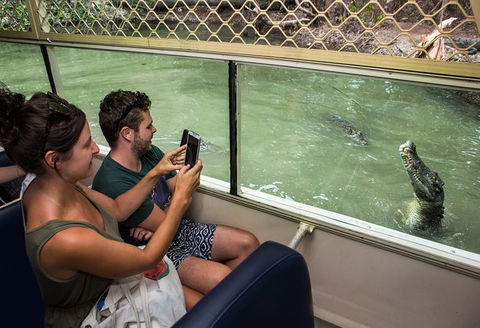 Hartley\'s Crocodile Adventures Entry Ticket And Breakfast With The Koalas - Tourism Cairns 7